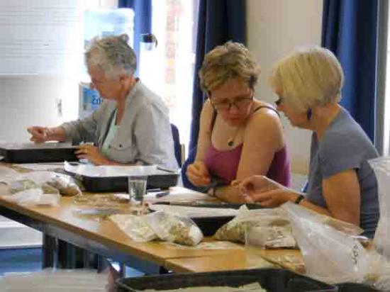 Archeox volunteers sorting residues from evironmental samples